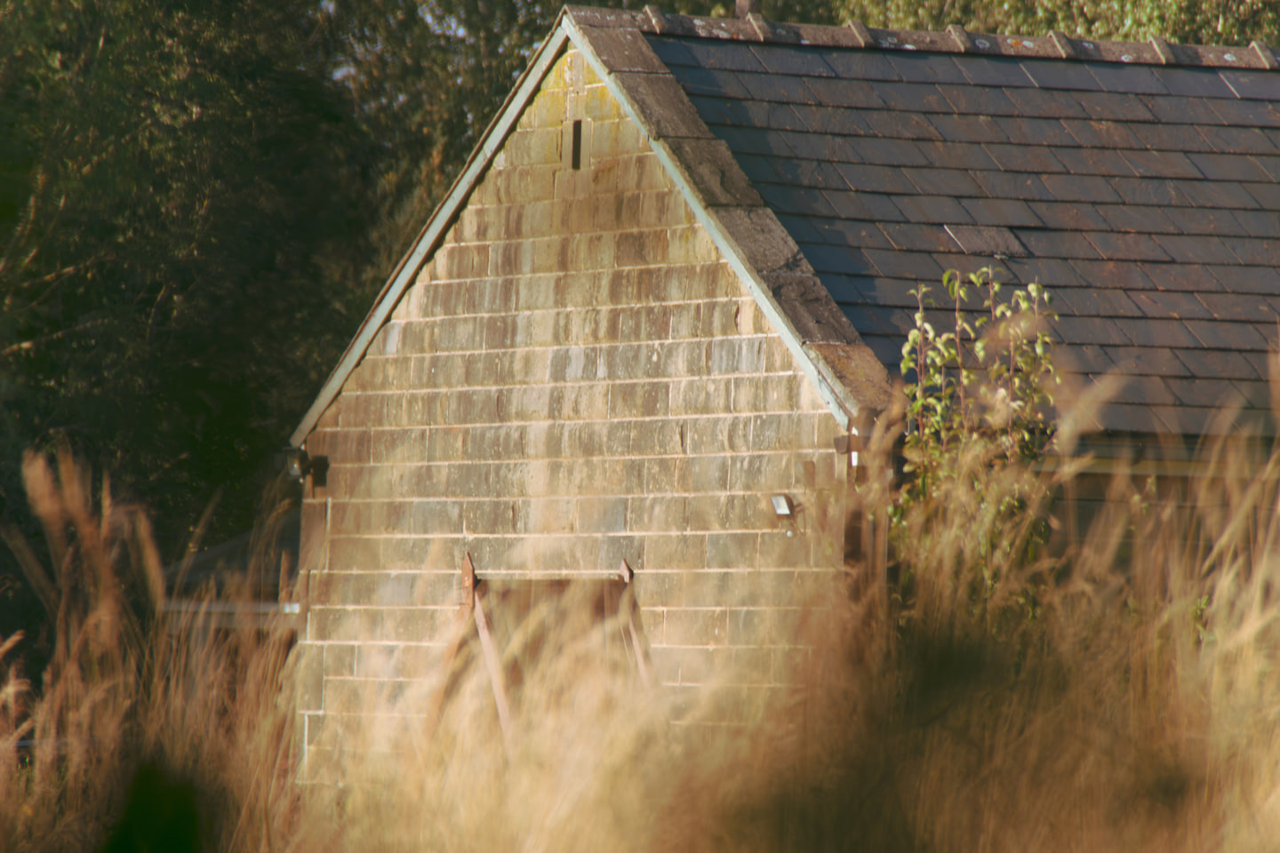 Untitled photograph